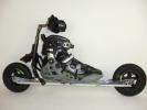 Nordic Skates
